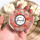 Cola Cubes Home Fragrance Wax Melts - Soy, Sweet and Scented - Forelo Scents