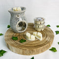 Crackle Glass Burner & Wax Melt Bundle - Forelo Scents