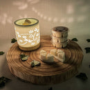 Dragonfly Ceramic Burner & Wax Melt Bundle - Forelo Scents