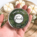 Fresh Pine Soy Wax Melt – Crisp, Evergreen Home Fragrance - Forelo Scents