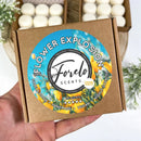 Summer Soy Wax Melt Box Bundle (4 x 100g) - Forelo Scents