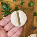 Wax Melt Sample Box & Burner Gift Set - Forelo Scents